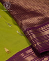 Mango Meadow Silk Cotton Saree - MAN104