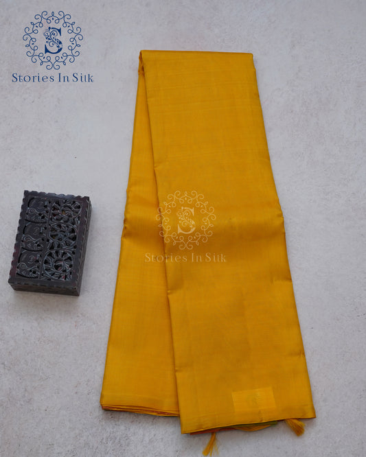 Sunshine Glow Borderless Silk Saree - KS008