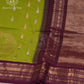 Mango Meadow Silk Cotton Saree - MAN104